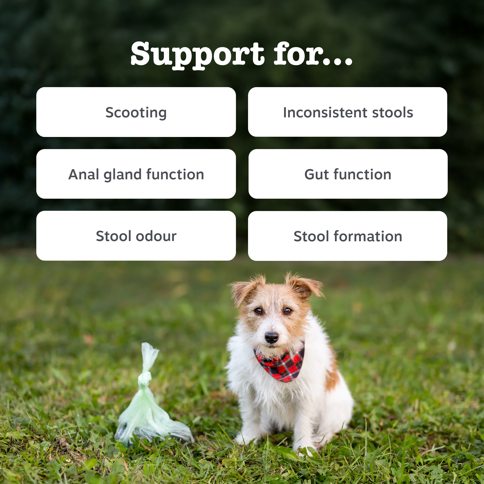 Zesty Paws Scoot Away Chews for Dogs 210g
