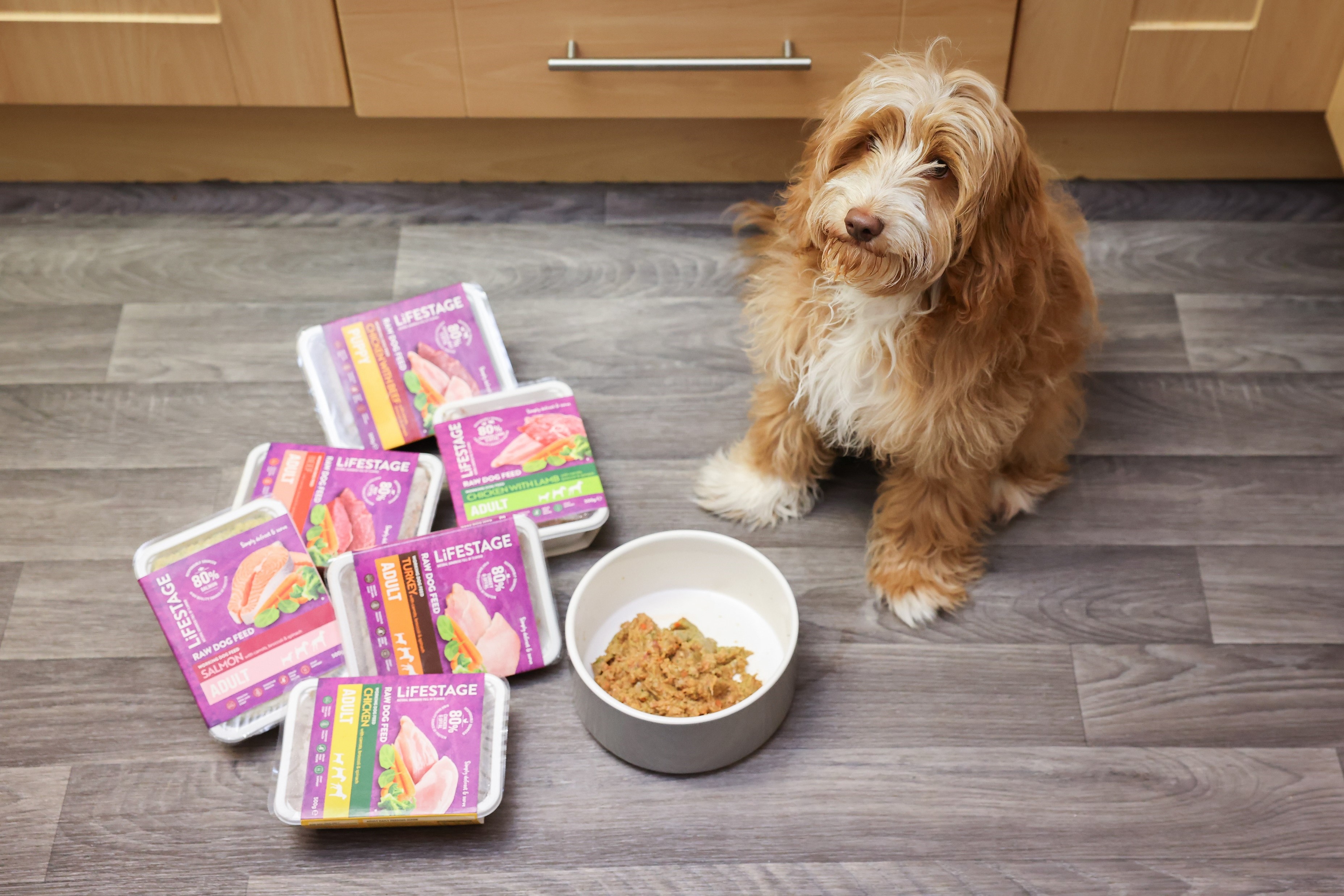Dog sat next to raw food.