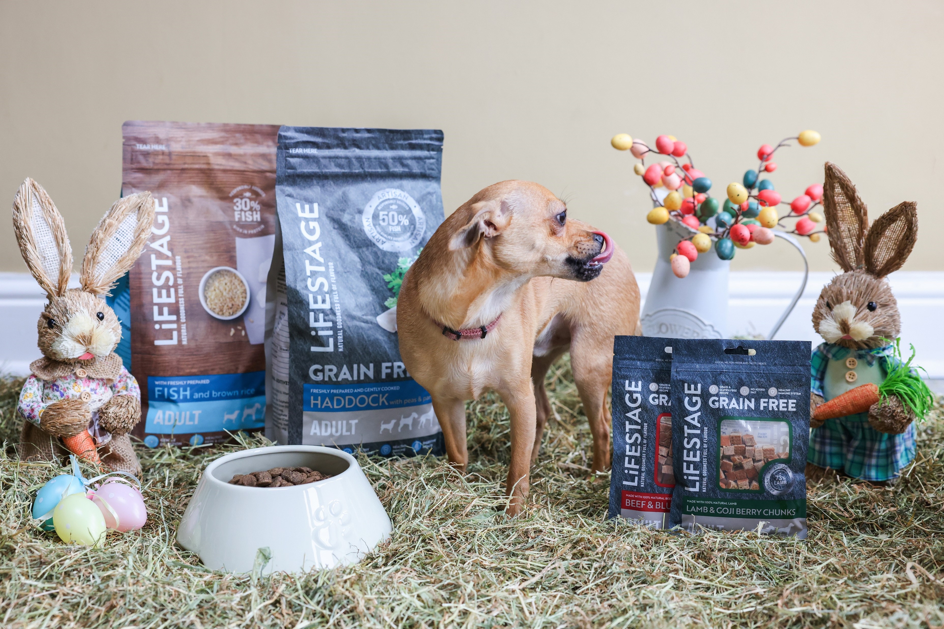 Dog stood in the middle of Easter treats.