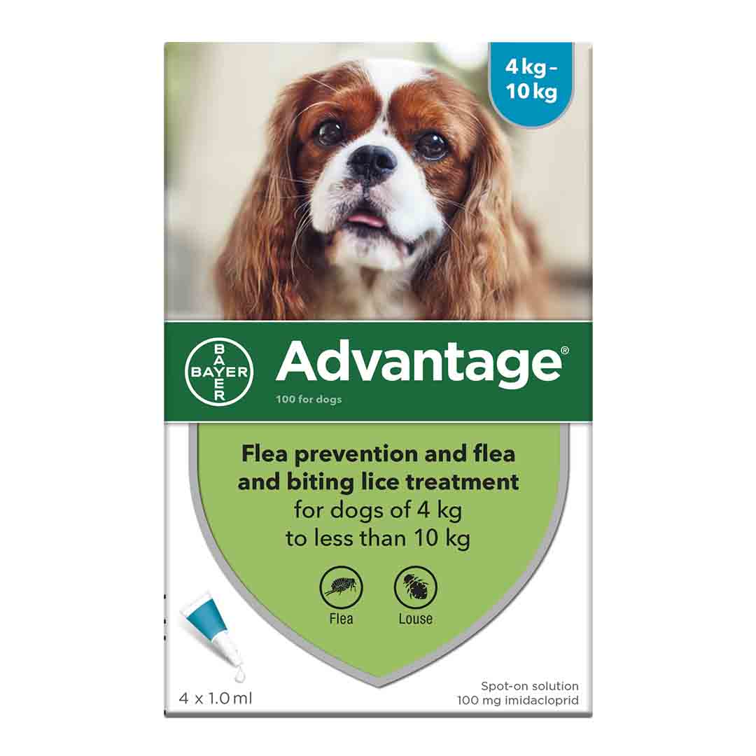 Advantage Spot-On 100 Flea Treatment For Small Dogs 4-10kg,  4 Pipettes