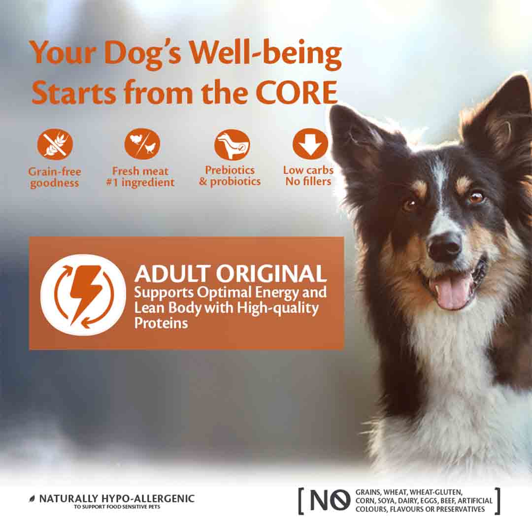 Wellness CORE Dry Adult Dog Food Original Turkey with Chicken Recipe 10kg
