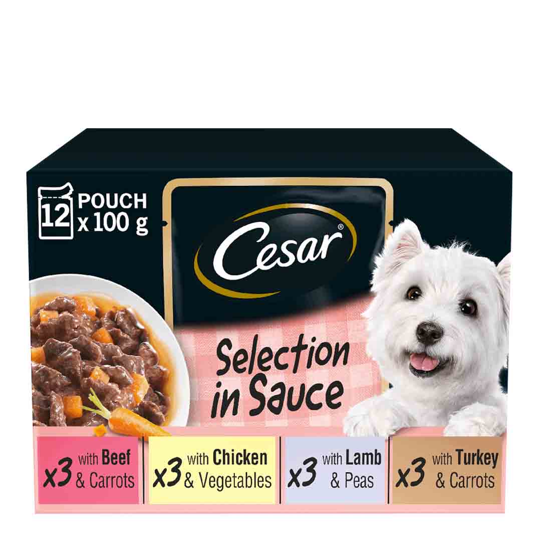 Cesar Adult Wet Dog Food Pouches Deliciously Fresh Mixed Selection in Sauce 12x100g