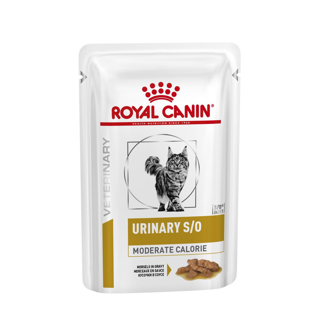 Royal Canin Urinary S/O Moderate Calorie Adult Wet Cat Food Morsels In Gravy 48x85g