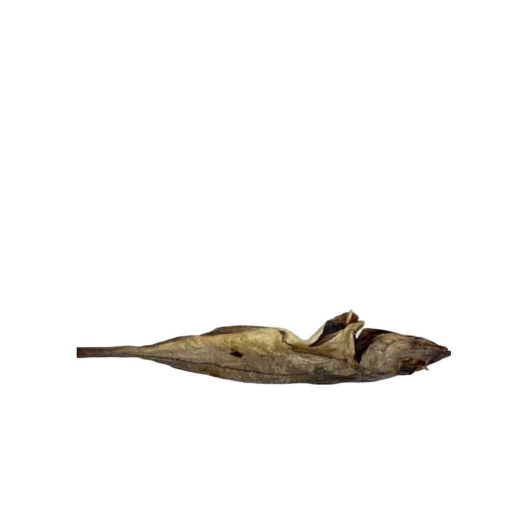 Whole Dried Haddock Natural Dog Chew