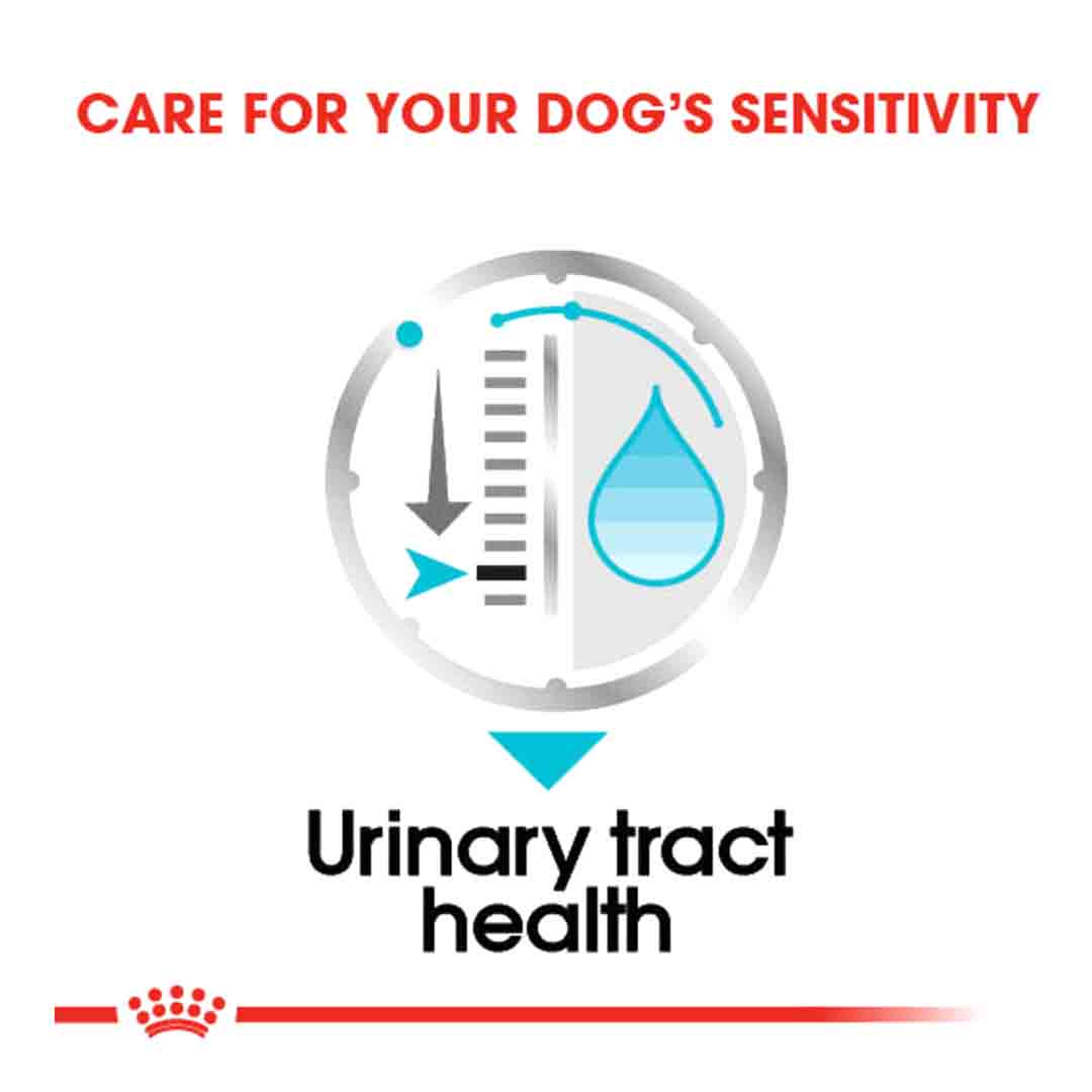 Royal Canin Wet Dog Food Urinary Care Wet Pouches Adult Small Breed 12x85g