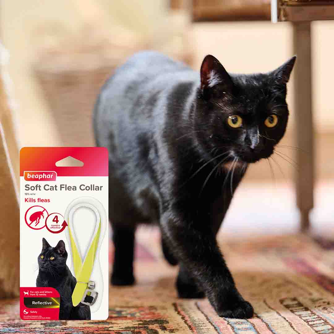 Beaphar Reflective Yellow Soft Flea Collar for Cats