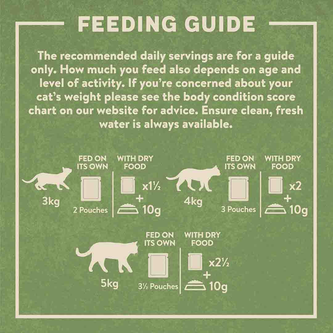 Harringtons Fish In Jelly Wet Cat Food, 12x85g