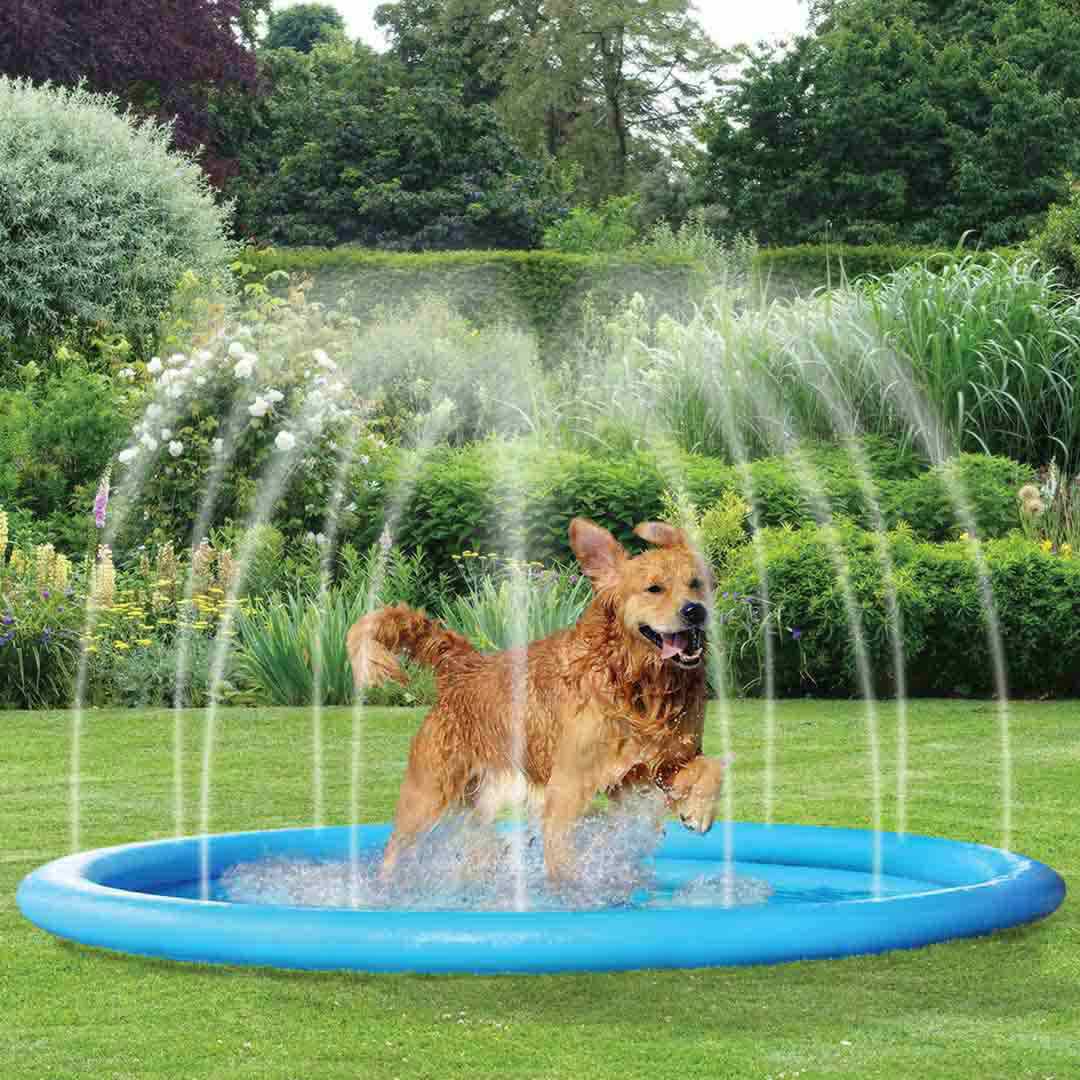 Rufus & Rosie Water Sprinkler for Dogs