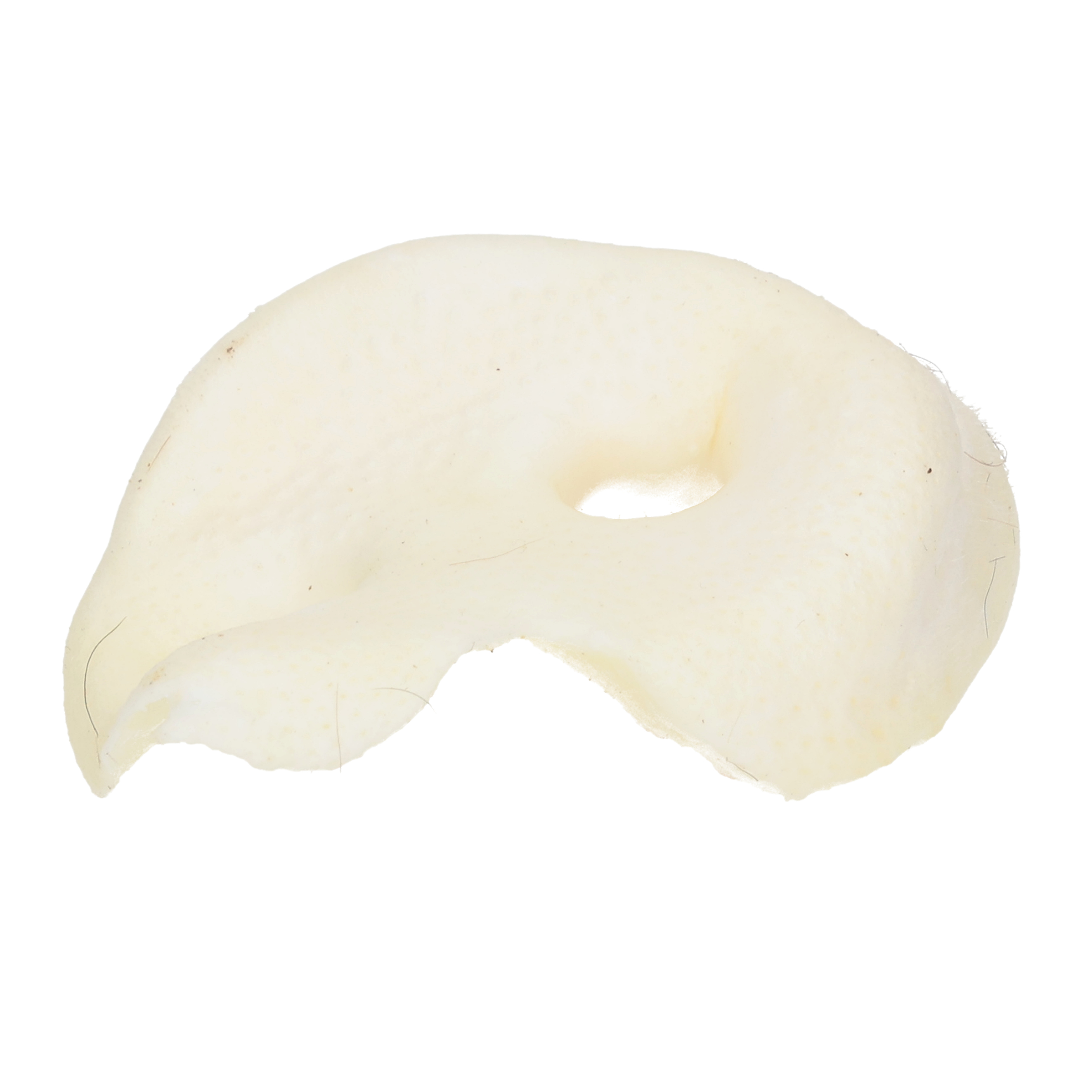 Jollyes Air Dried Puffed Porky Snout Dog Treat