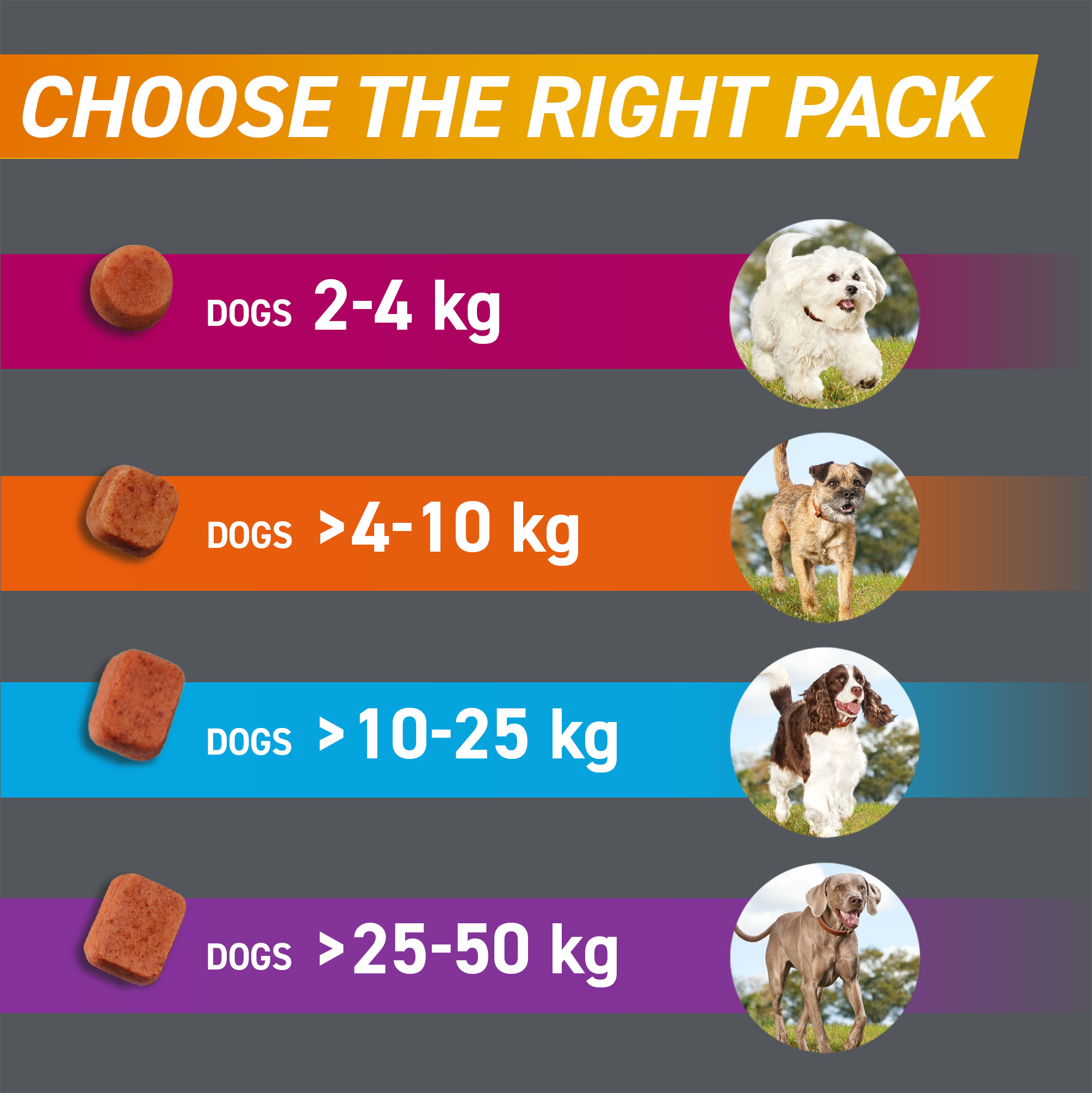 FRONTPRO® Chewable Tablets Flea & Tick Treatment for Medium Dogs 4-10kg, 3 Pack