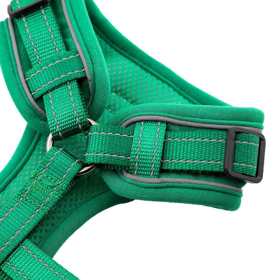Doodlebone Trendy Tails Stomp Dog Harness Green 2-3
