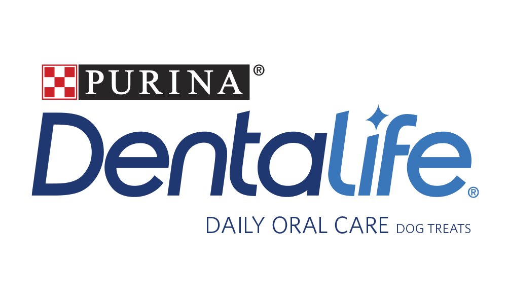 Dentalife