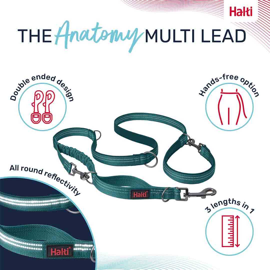 Halti Anatomy Multi Use Dog Lead in Teal, Large