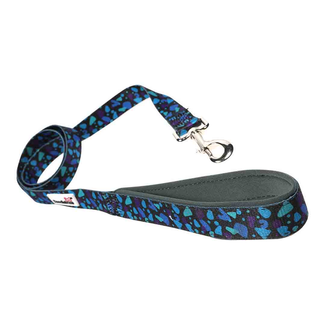 Doodlebone Bold Padded Dog Lead Electric Party 25mm