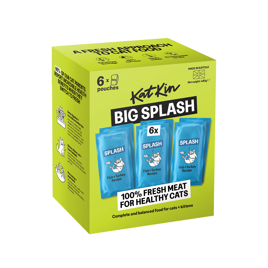 KatKin BIG SPLASH Fresh Cat and Kitten Food, Multipack (Fish + Turkey) 6x80g