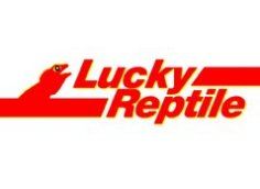 Lucky Reptile