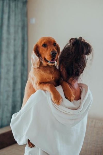 Dog perched on person's shoulder.