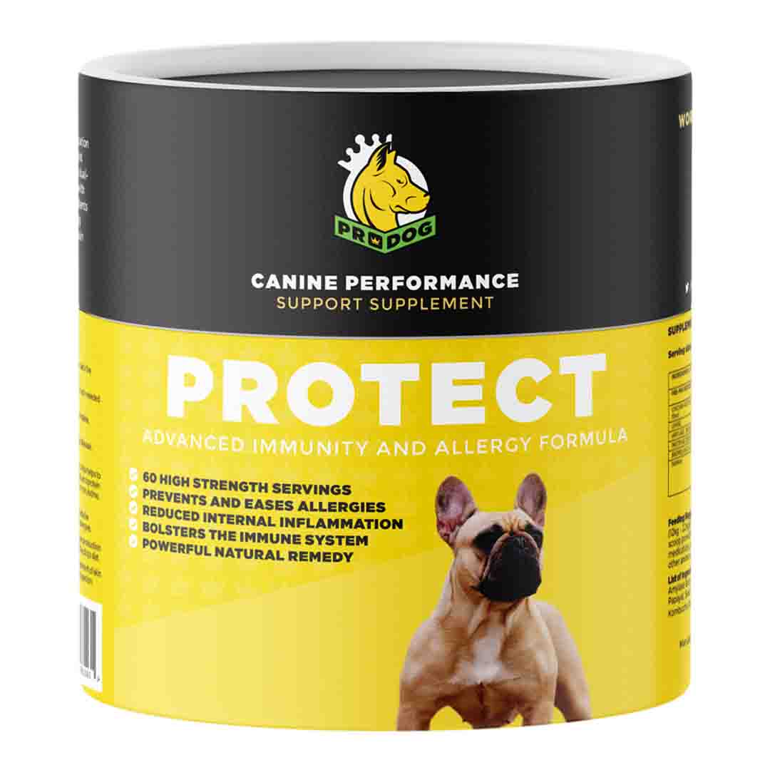 ProDog Raw Protect Allergy Defence 300g