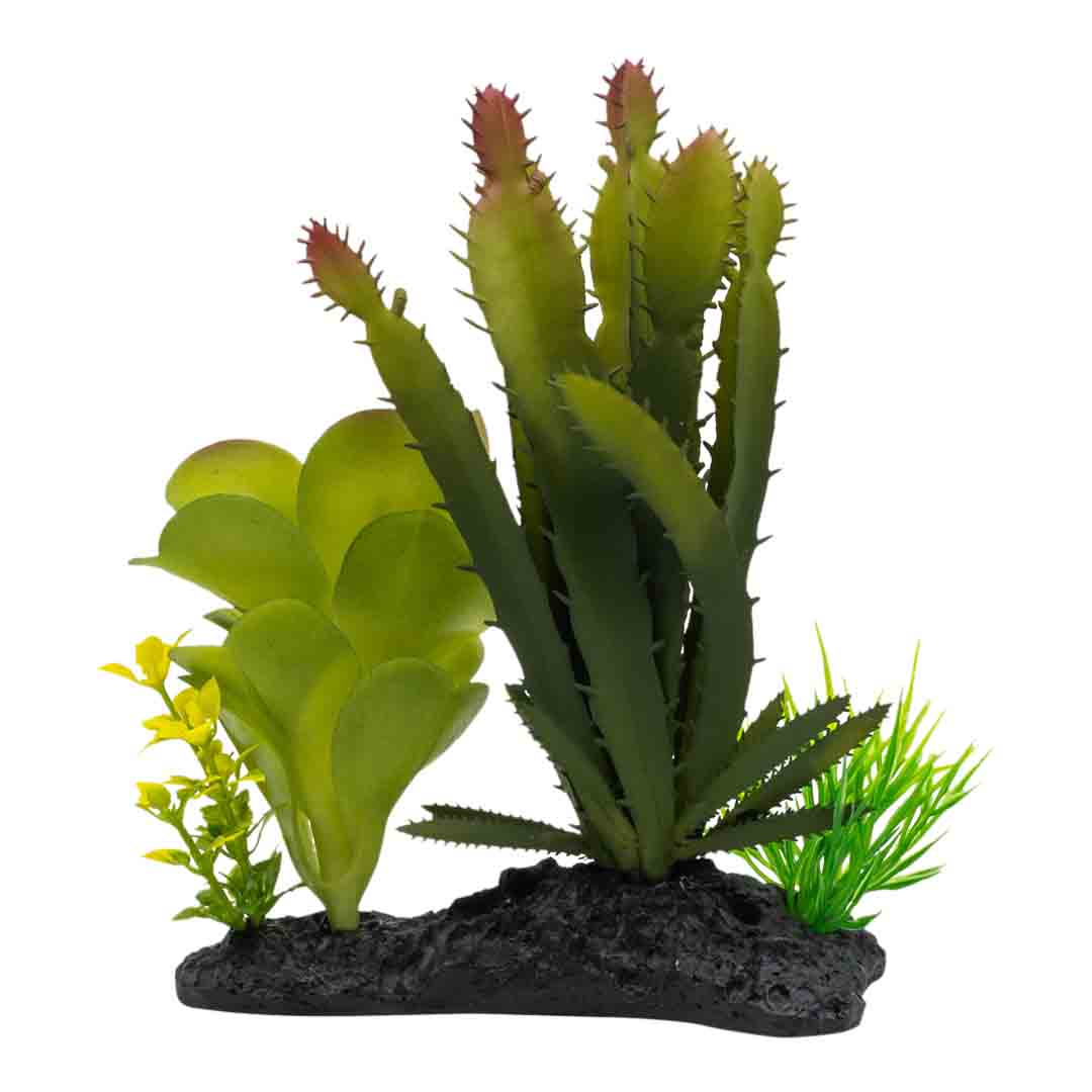 ProRep Euphorbia Plant On Log Reptile Vivarium Decoration 15cm