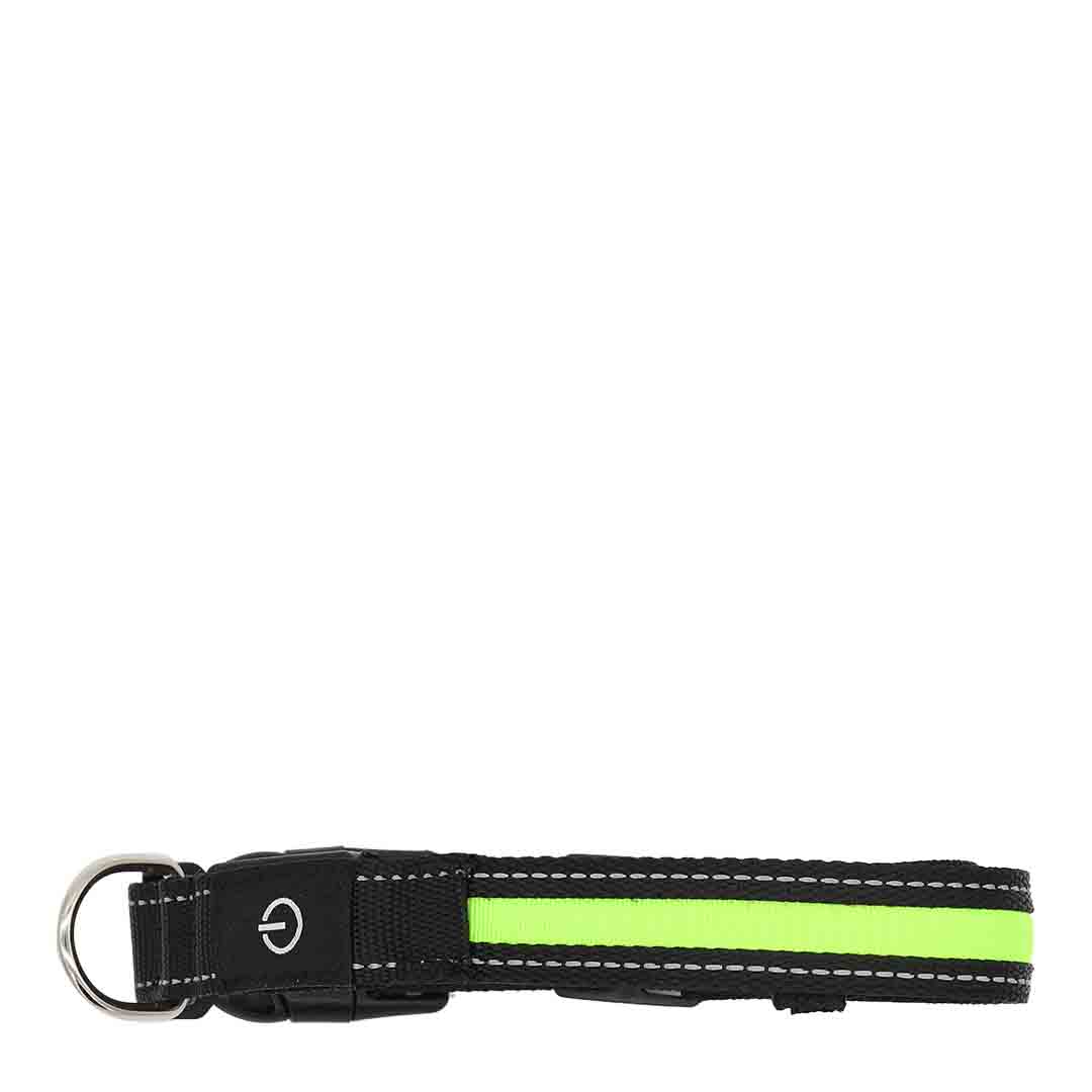Rufus & Rosie Safety Light Flashing Dog Collar, S/M