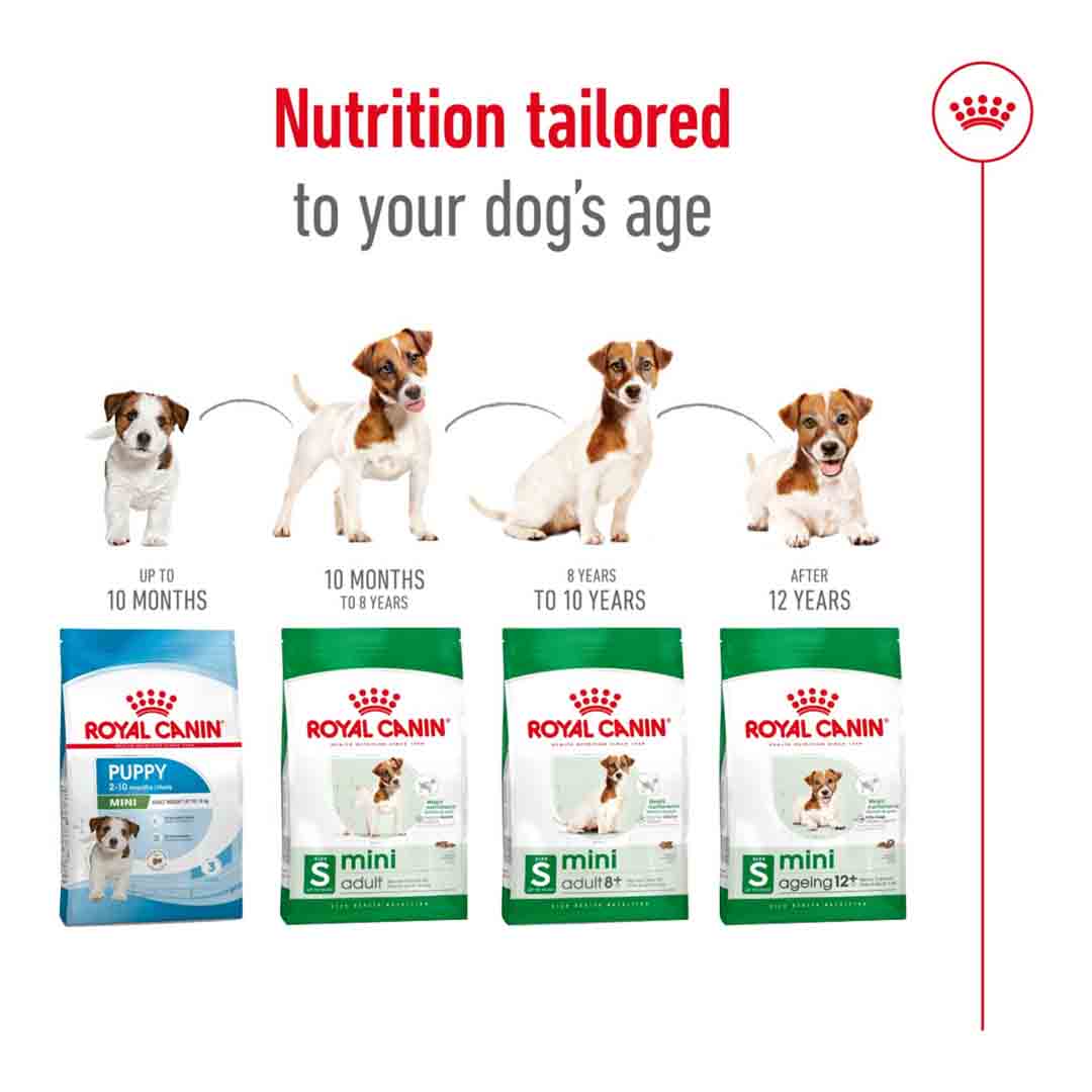 Royal Canin Dry Dog Food Mini Adult 2kg