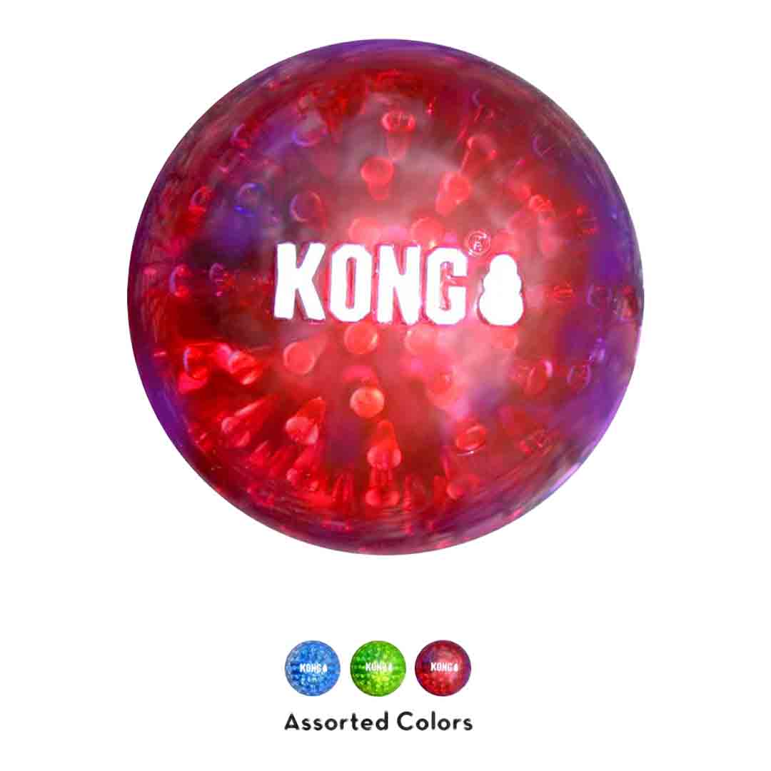 KONG Squeezz Dog Toy, Large, 2 Pack