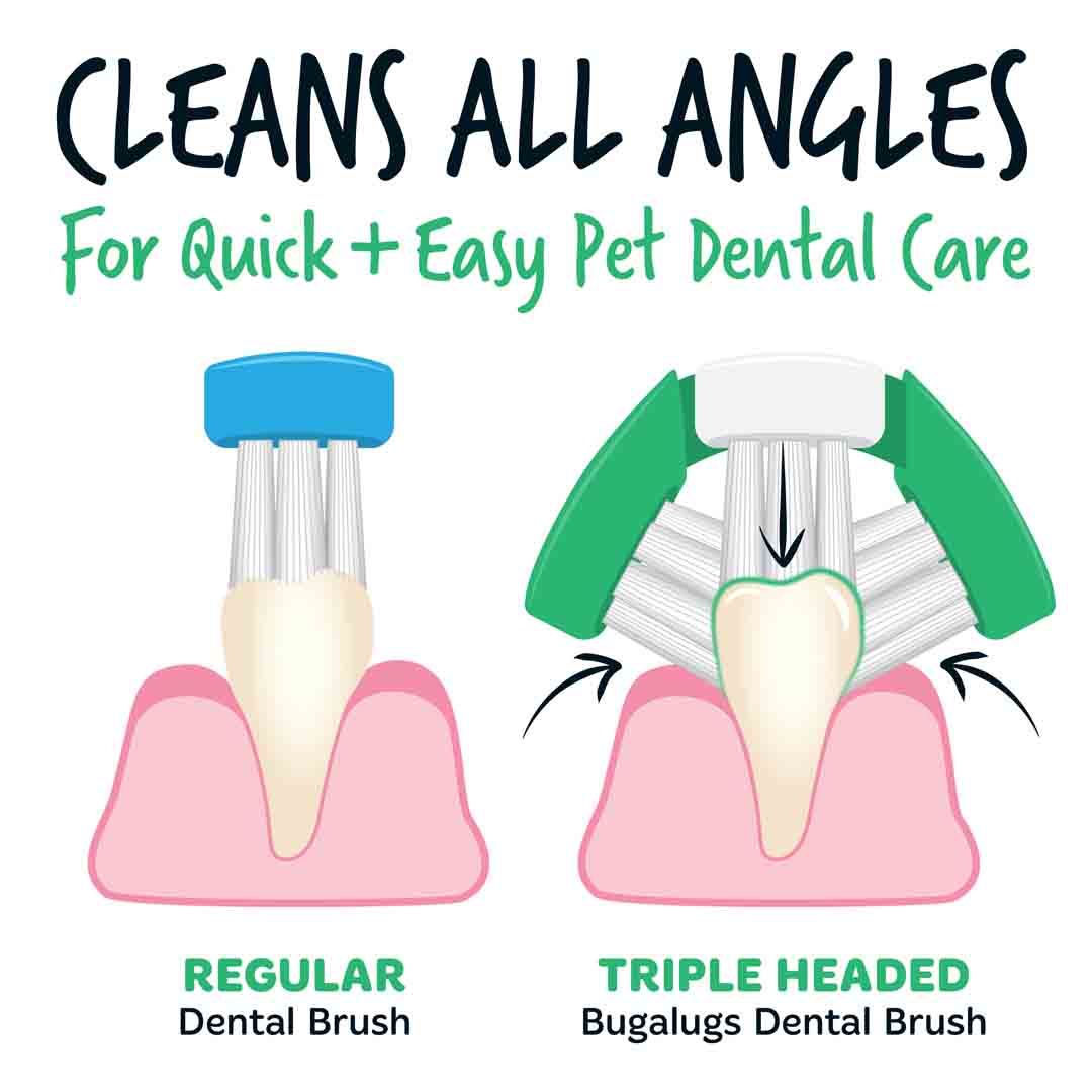 Bugalugs Triple Headed Toothbrush for Dogs