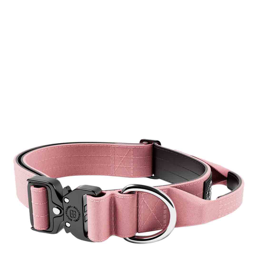 Bully Billows 4cm Combat Collar, Pink, Medium