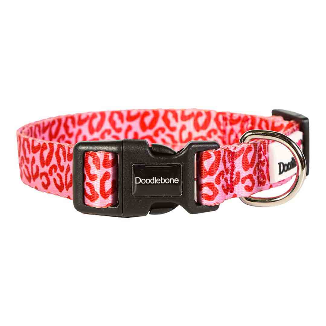 Doodlebone Bold Dog Collar Ruby Leopard 3-6