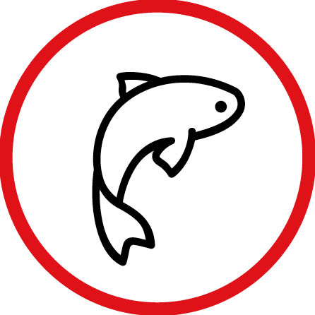 Pond Fish