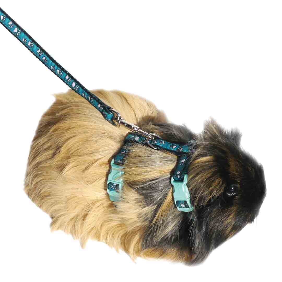 Rosewood Rabbit Harness Lead & Collar Set, Paw Print