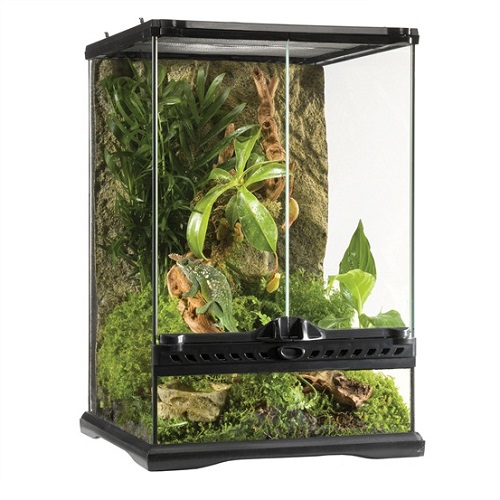 Exo Terra All Glass Mini Tall Terrarium