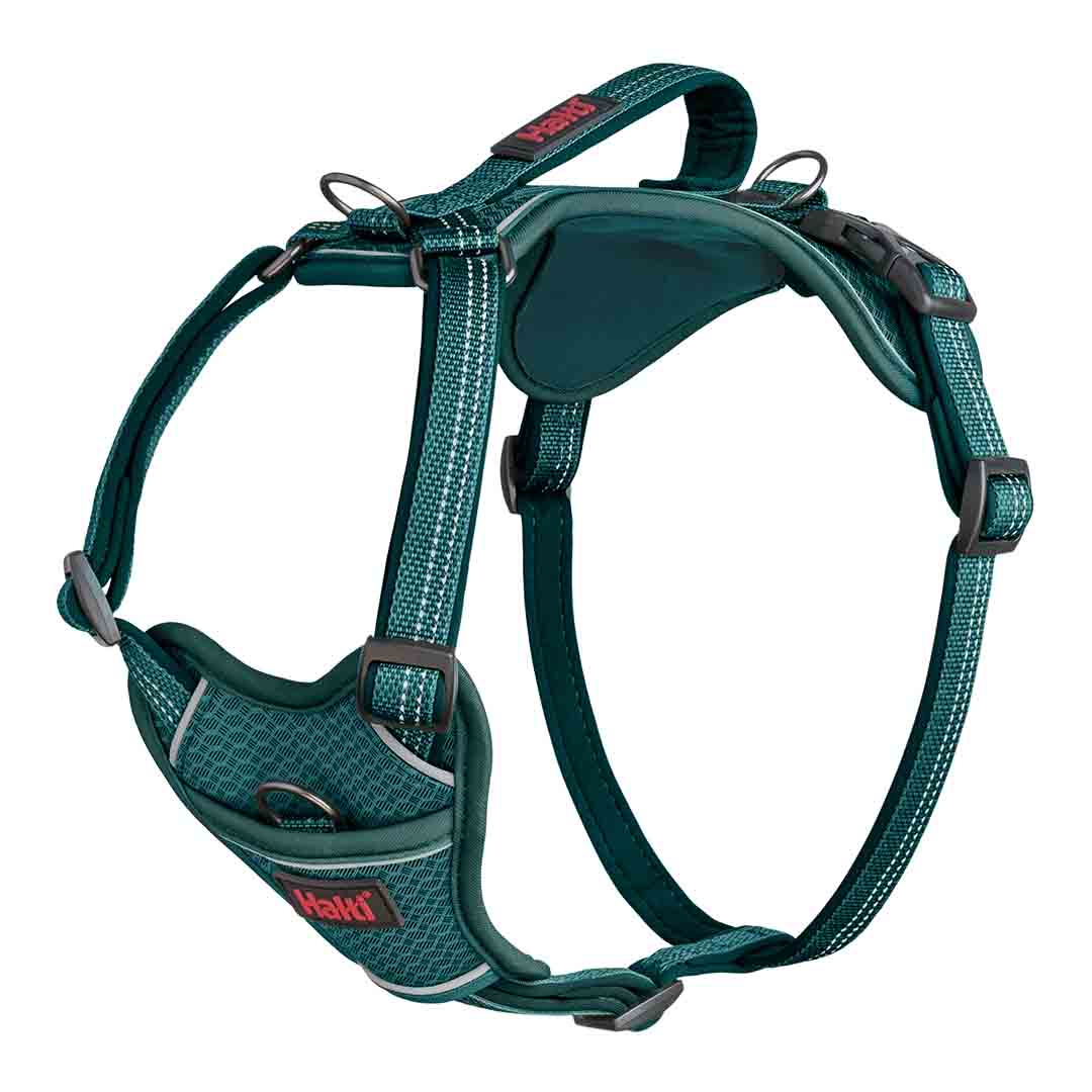 Halti Anatomy Dog Harness Teal X-Small