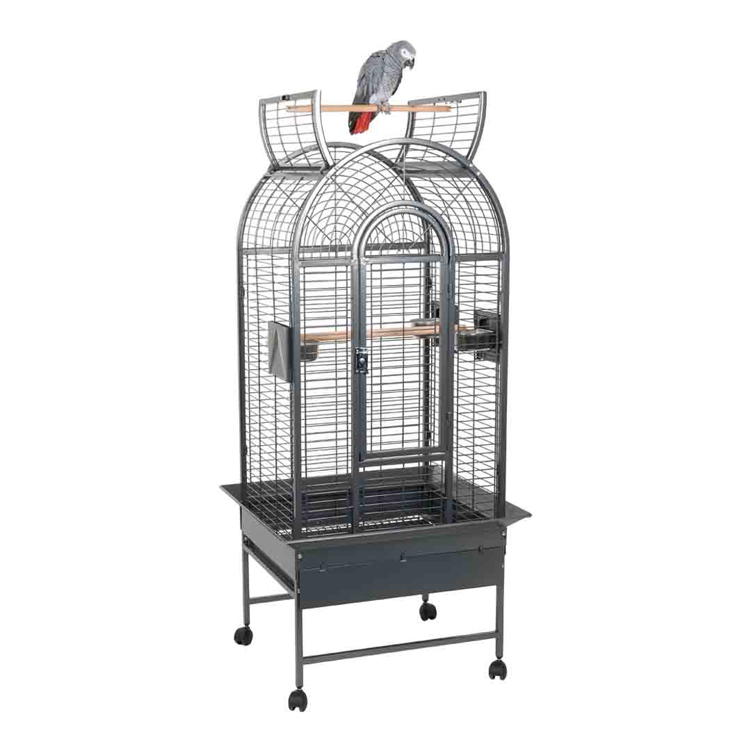 Rainforest Cages Ecuador Antique Bird Cage