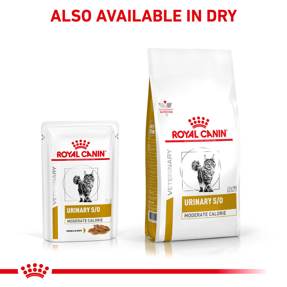 Royal Canin Urinary S/O Moderate Calorie Adult Wet Cat Food Morsels In Gravy 48x85g