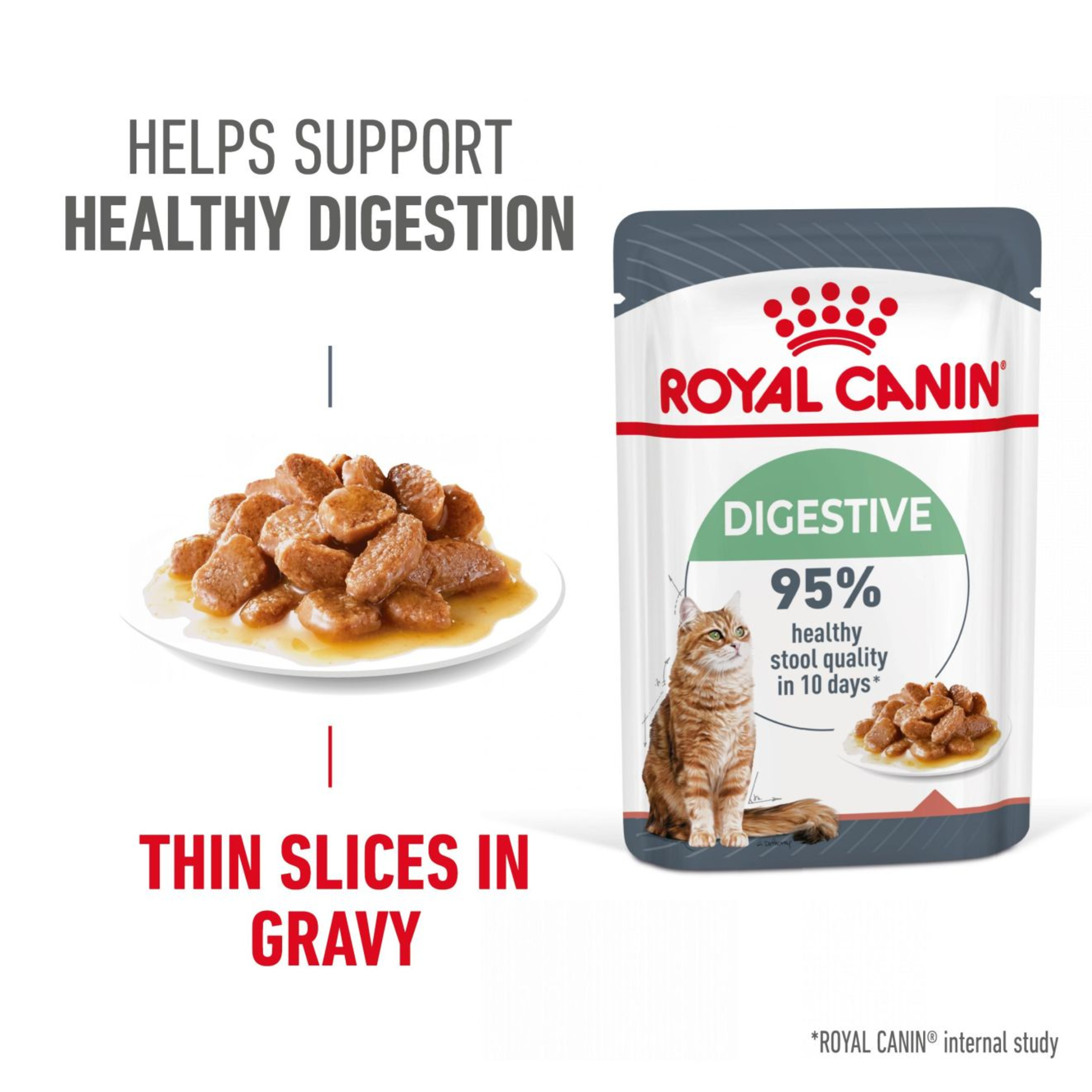 Royal Canin Digestive Care Wet Cat Food in Gravy 48x85g