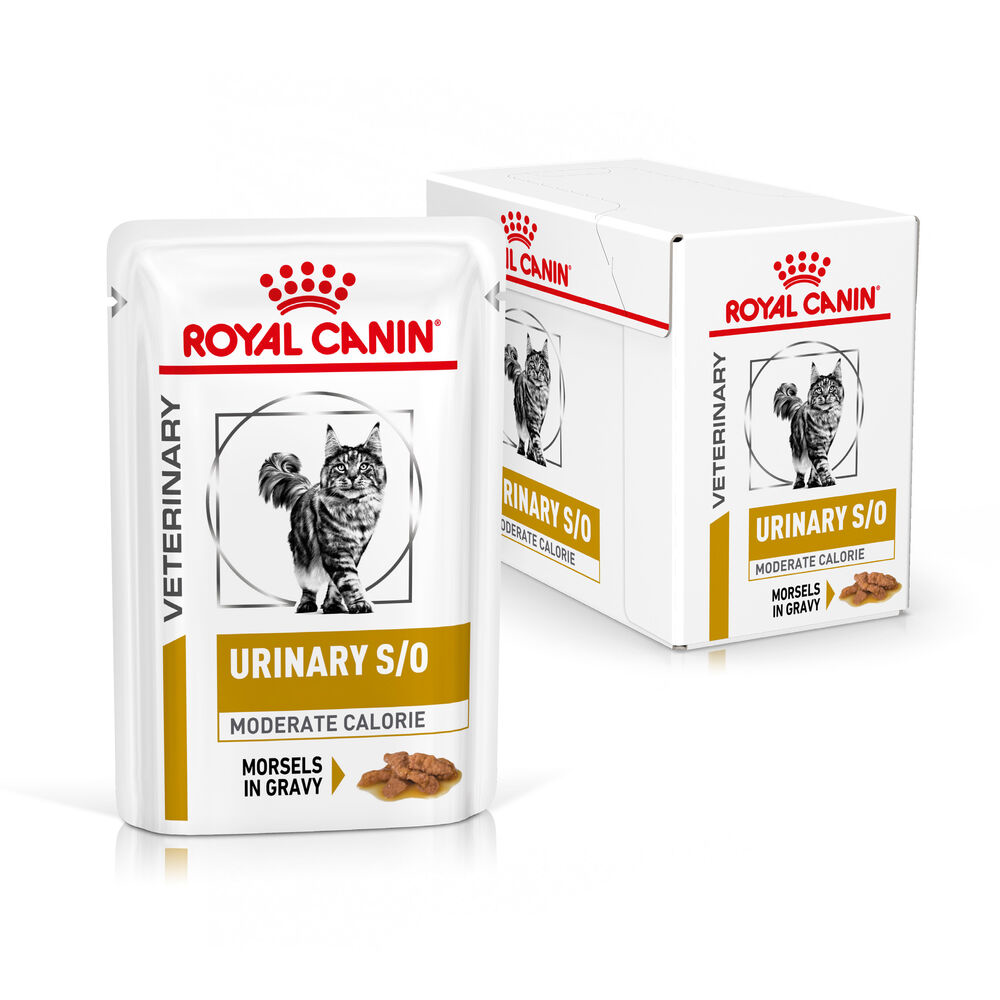 Royal Canin Urinary S/O Moderate Calorie Adult Wet Cat Food Morsels In Gravy 48x85g