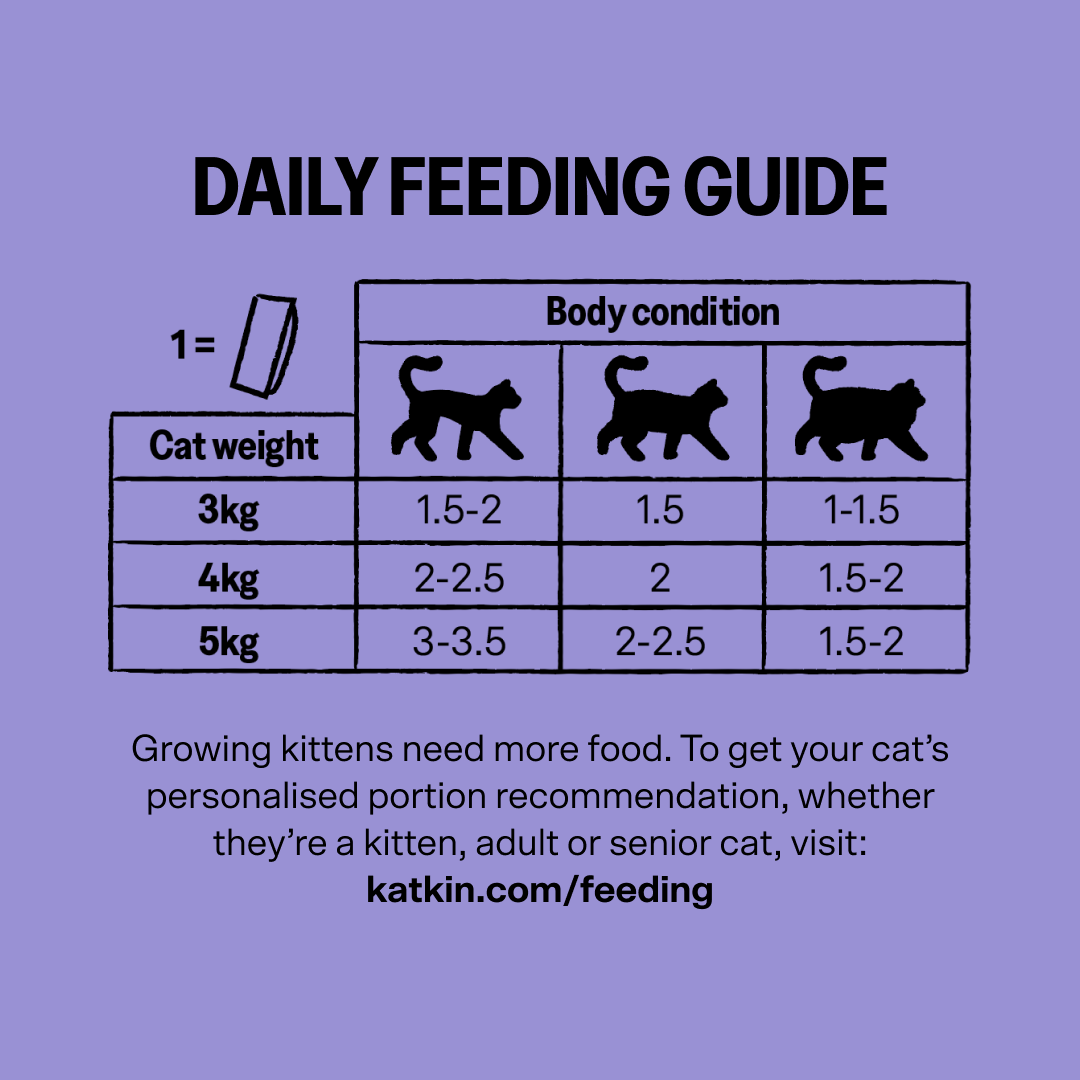 KatKin GOBBLE Fresh Cat and Kitten Food (Turkey + Chicken) 1x80g
