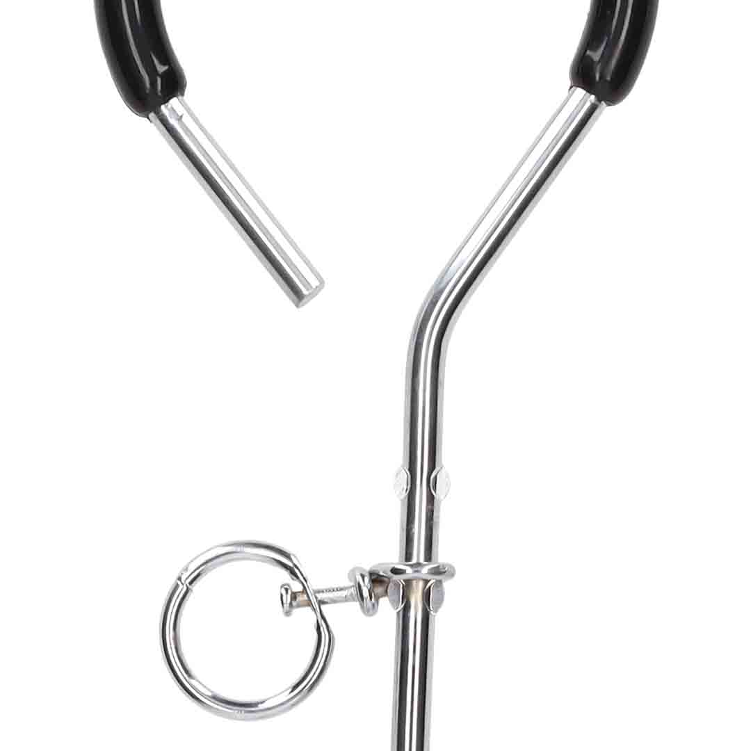 Pet Living Jumbo Spiral Tie Out Stake