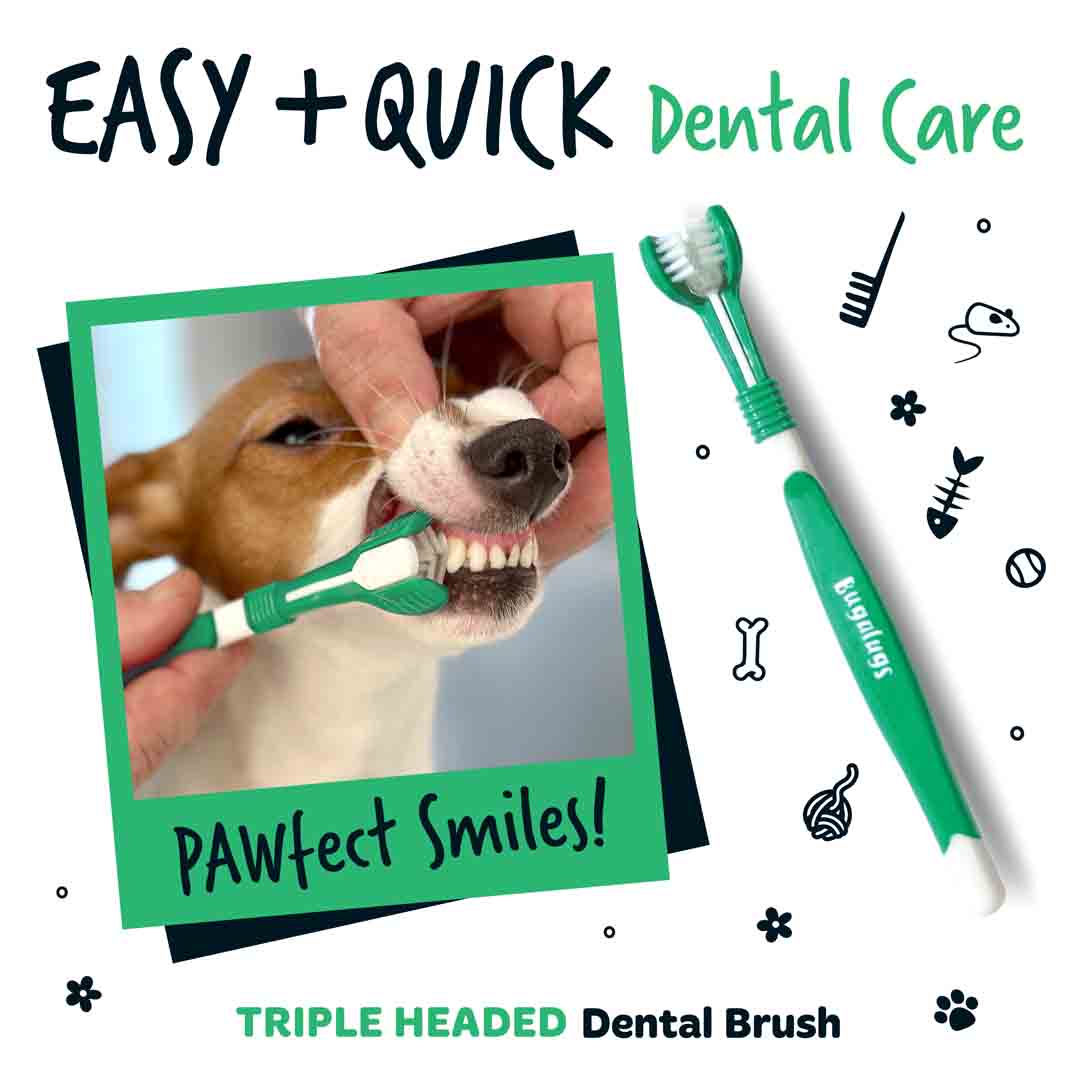 Bugalugs Triple Headed Toothbrush for Dogs