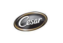 Cesar