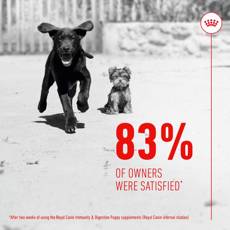 Royal Canin Puppy Supplement for Immunity & Digestion Soft Chews