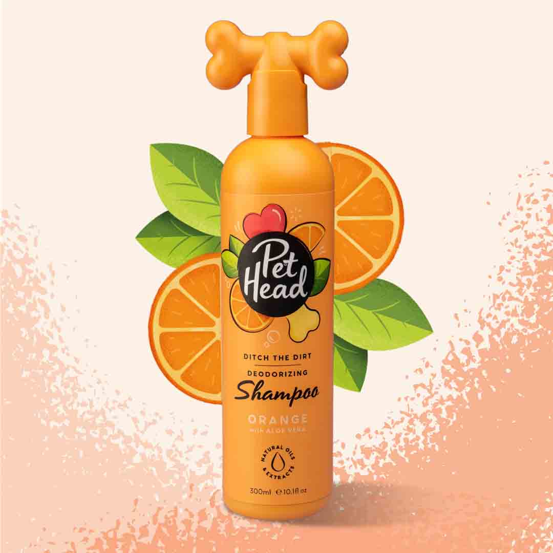 Pet Head Ditch the Dirt Dog Grooming Shampoo 300ml