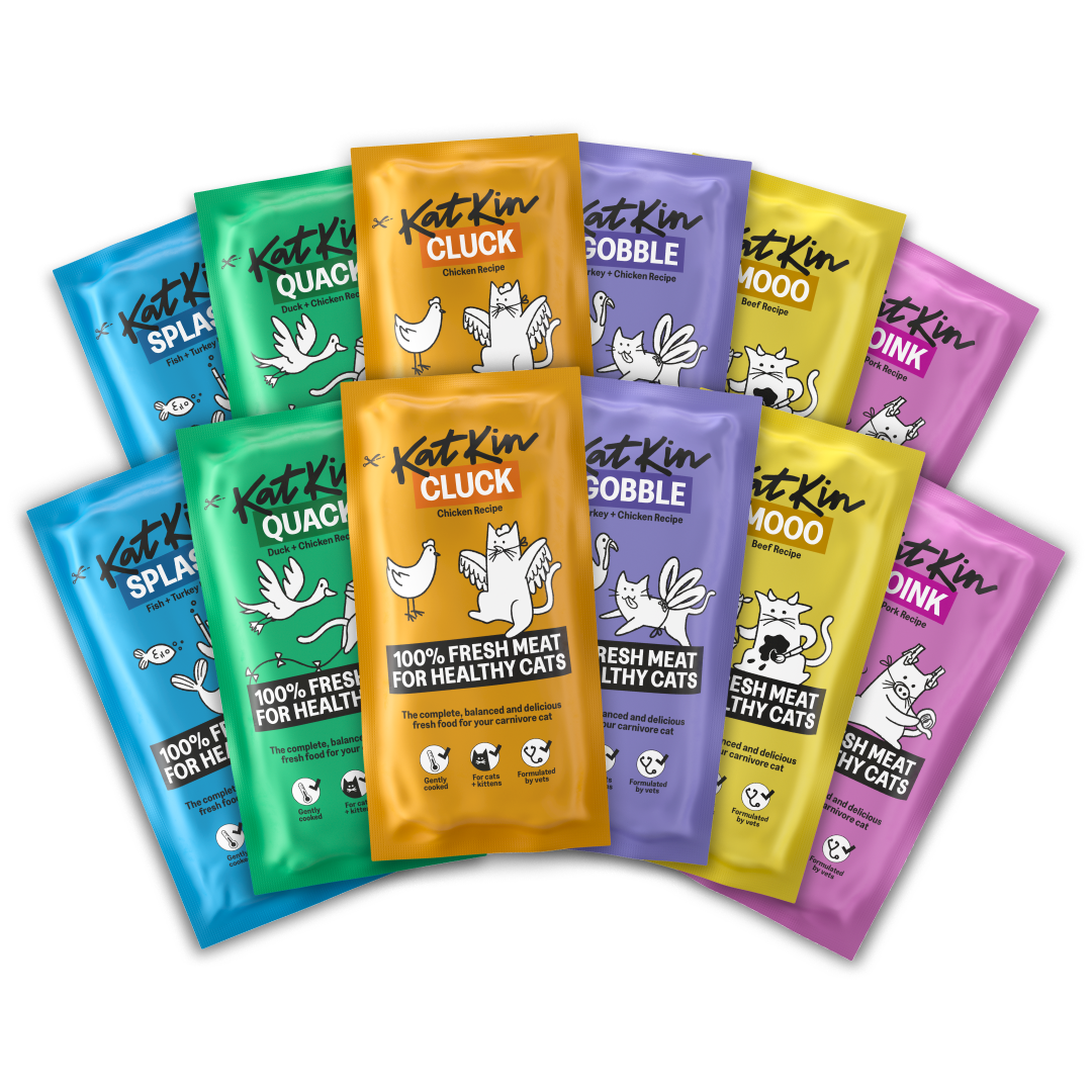 KatKin BEST OF FRESH Fresh Cat and Kitten Food, Variety Pack (Chicken, Fish, Pork, Beef, Duck & Turkey) 12x80g
