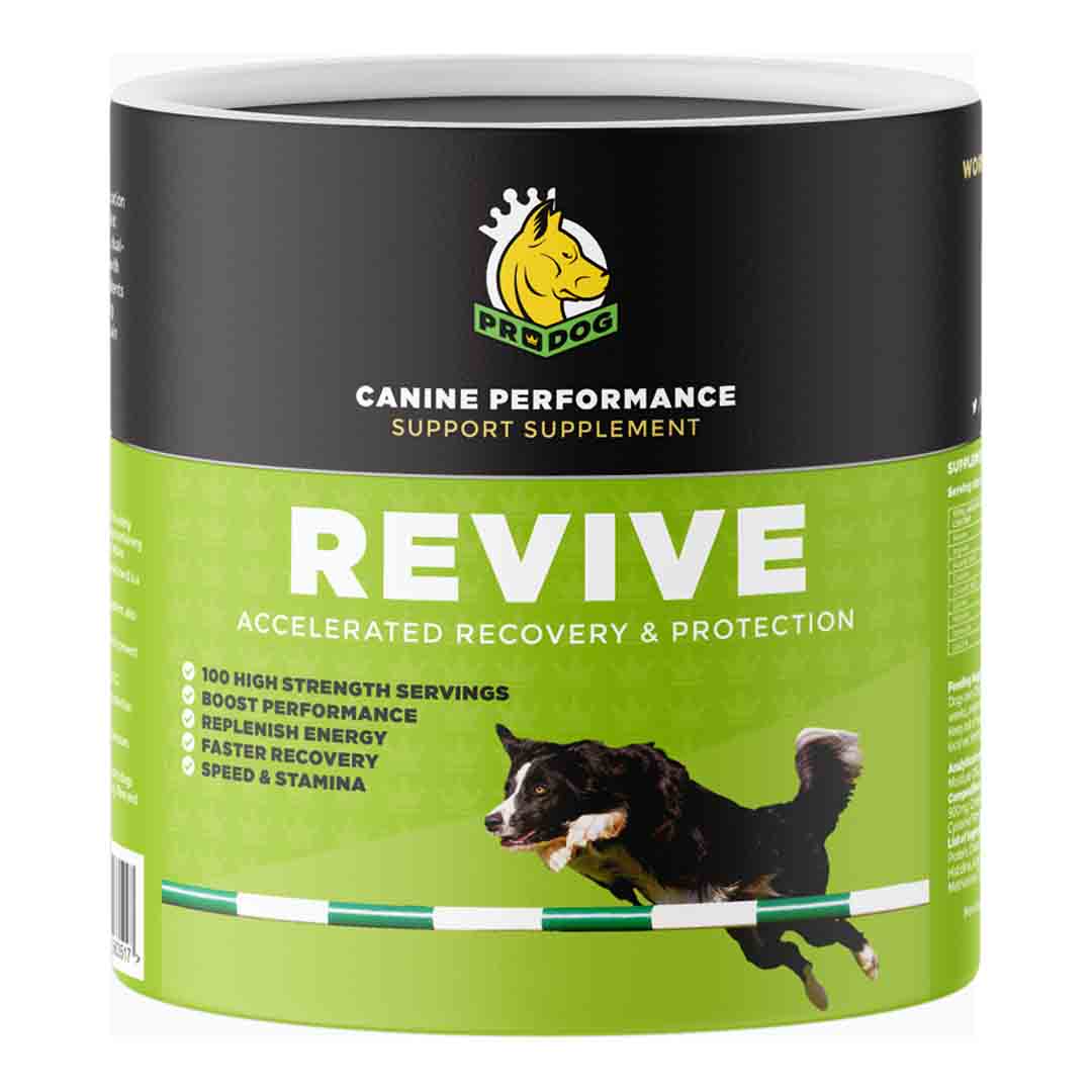 ProDog Raw Revive Recovery & Protection 300g
