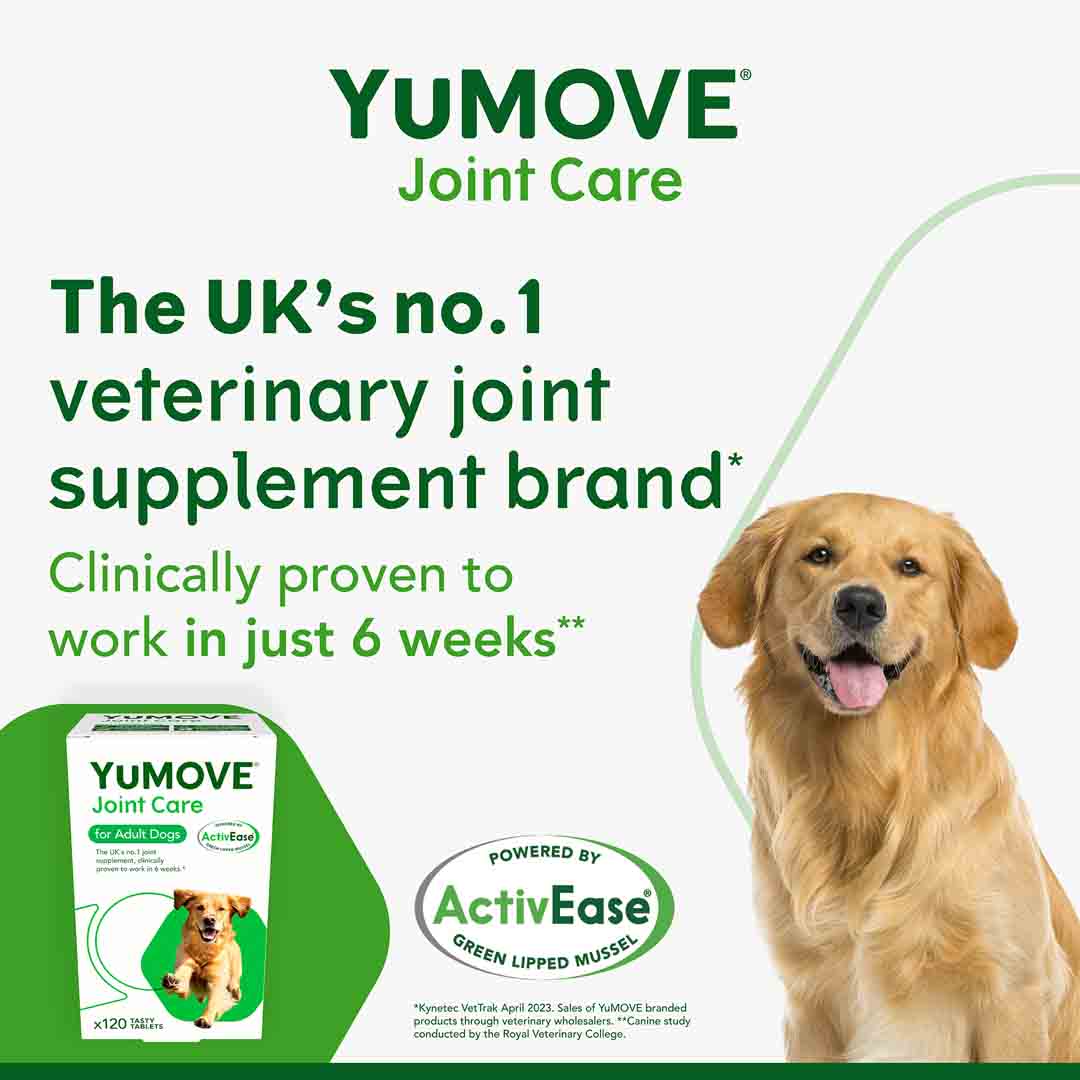 YuMOVE Tablets, Joint Care for Adult Dogs, 120 Tabs