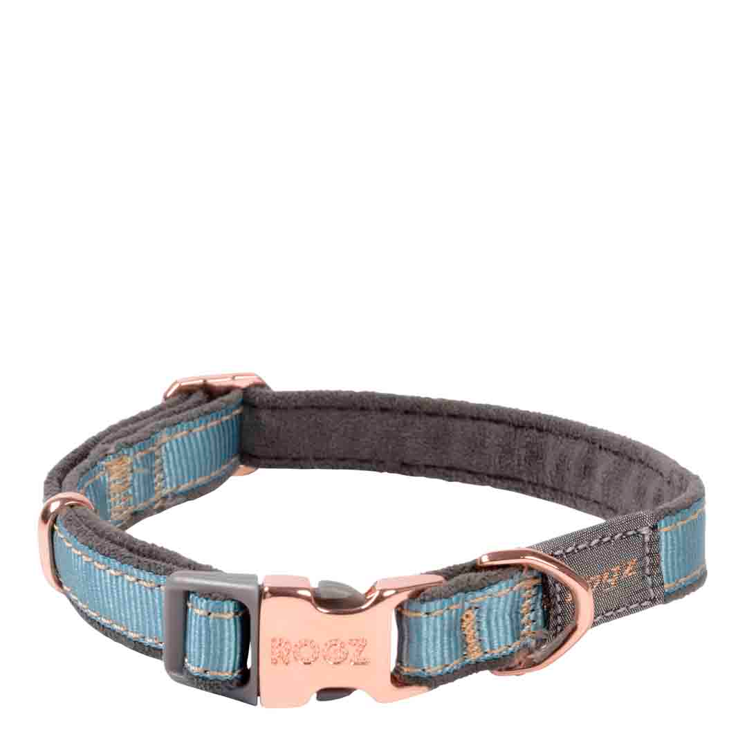 Rogz Urban Release Dog Collar, Small, Turquoise 