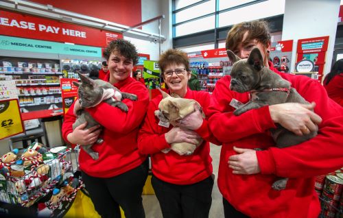 jollyes team holding pets