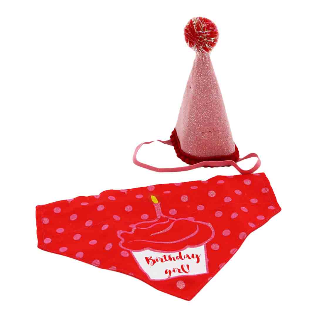 Ancol 'Its My Birthday' Pink Hat and Bandana Dog Accessory