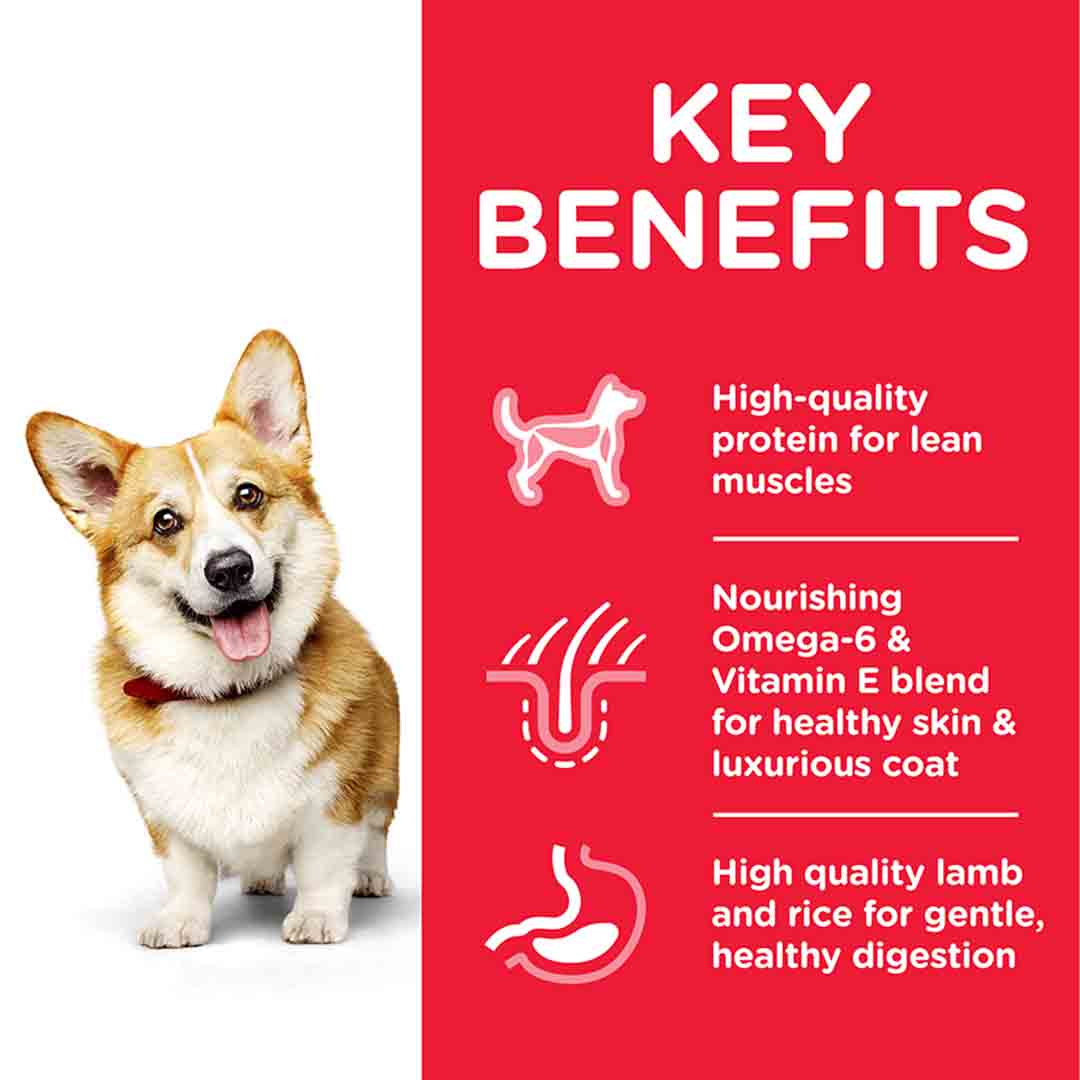 Hill's Science Plan Adult Small & Mini Dry Dog Food Chicken 1.5kg 
